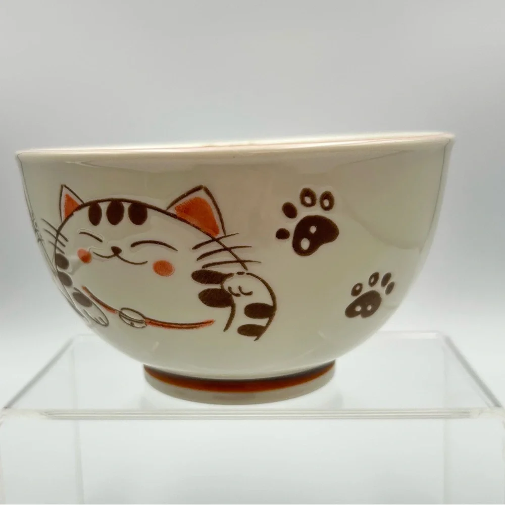 Kafuh Mino Ware Japanese Ceramic Ramen Rice Bowl 5